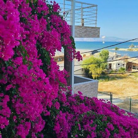 Begonvil Otel Çeşme Eksteriør billede