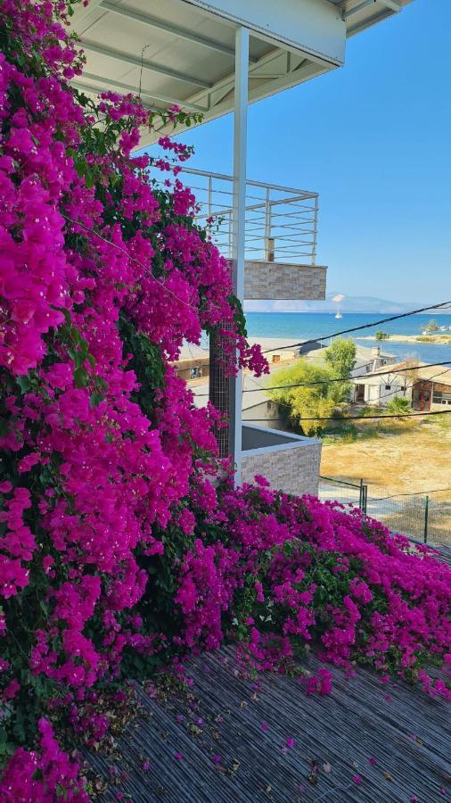 Begonvil Otel Çeşme Eksteriør billede